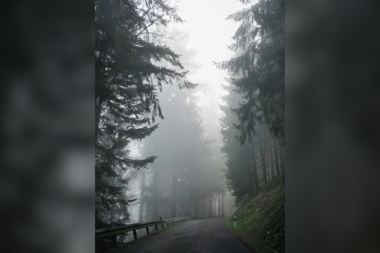 Greenville Wakes in Sticky Fog as Storms Crash In Before Next Week’s Heat Blast