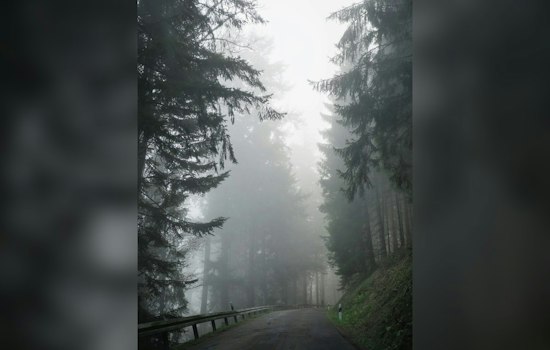 Greenville Wakes in Sticky Fog as Storms Crash In Before Next Week’s Heat Blast