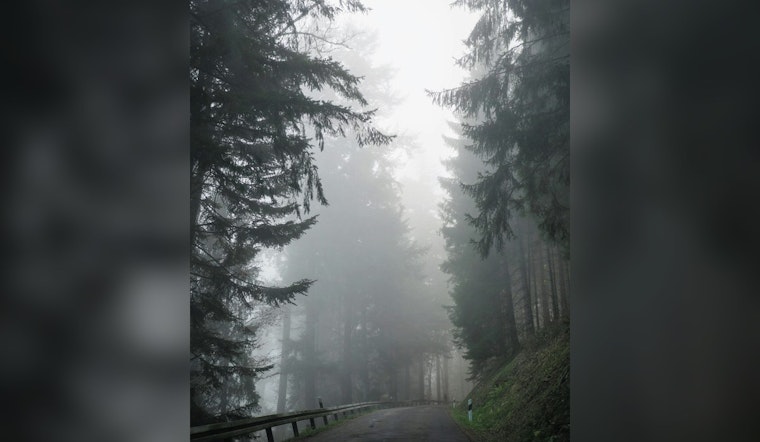 Greenville Wakes in Sticky Fog as Storms Crash In Before Next Week’s Heat Blast