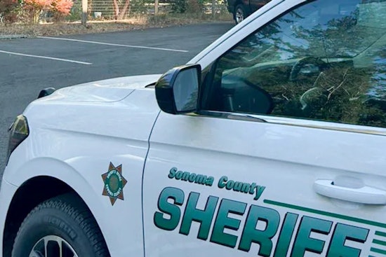 Guerneville Man, 74, Punched and Kicked in Unprovoked Attack, Sheriff Says