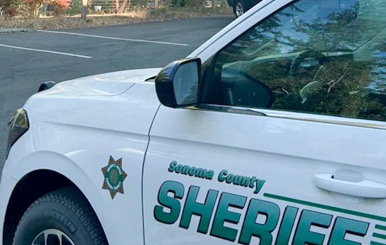 Guerneville Man, 74, Punched and Kicked in Unprovoked Attack, Sheriff Says