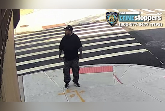 Gunman Wanted After Shot Fired Toward Man Hits Dog In Greenwood Heights