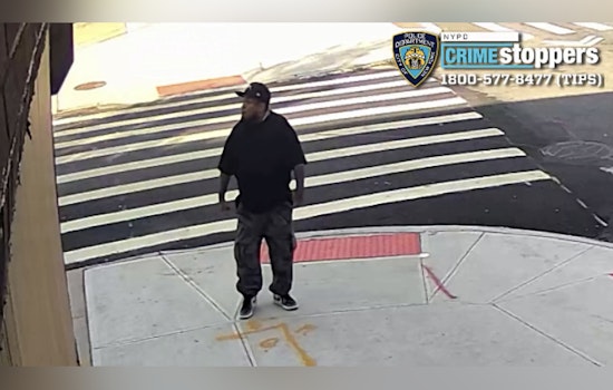 Gunman Wanted After Shot Fired Toward Man Hits Dog In Greenwood Heights