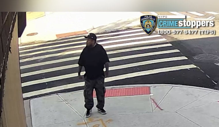 Gunman Wanted After Shot Fired Toward Man Hits Dog In Greenwood Heights