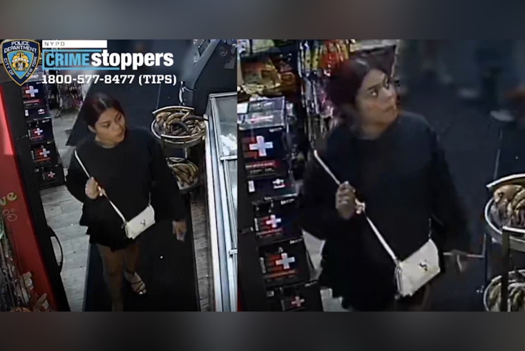 Gunpoint Carjacking Outside Bronx Hotel as NYPD Hunts Duo