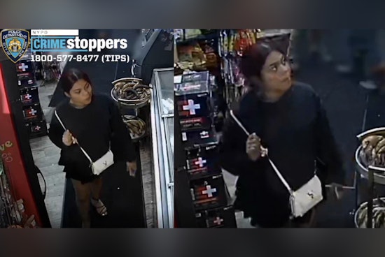 Gunpoint Carjacking Outside Bronx Hotel as NYPD Hunts Duo