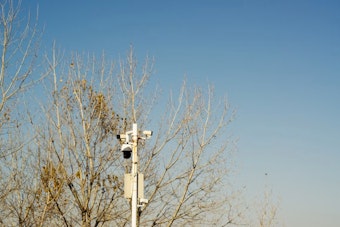 Hamilton Unveils Flock Camera Rulebook — But Privacy Brawl Rages On