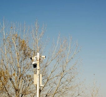Hamilton Unveils Flock Camera Rulebook — But Privacy Brawl Rages On