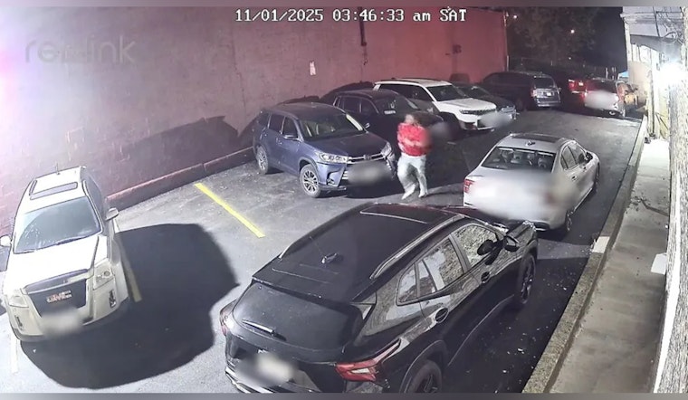 Harambee Sexual Assault Suspect Sought 9 Months After Party Attack