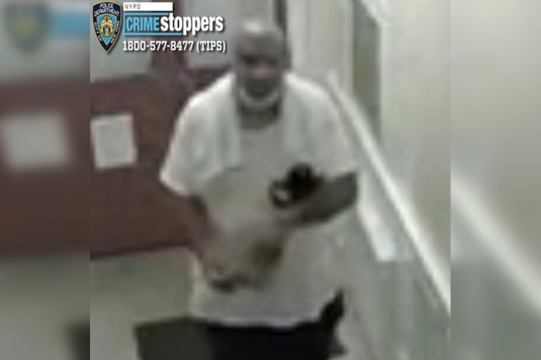 Harlem Creep Hunted After Smashing Door, Swiping Lobby Package: NYPD