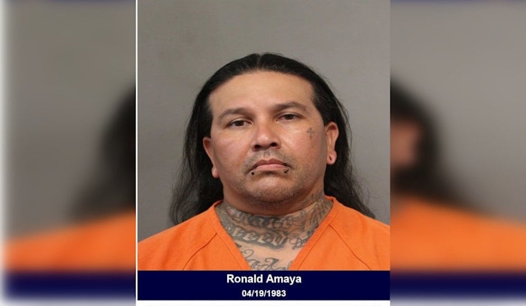 Harris County Driver Faces Felony DWI Charge With 3 Kids, Gun in Car