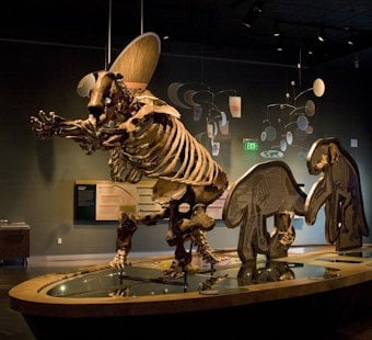 Hemet Museum Offers Hands-On Fossil Activities at PaleoCon, $10 Gets You In