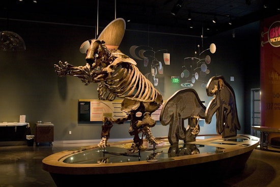 Hemet Museum Offers Hands-On Fossil Activities at PaleoCon, $10 Gets You In