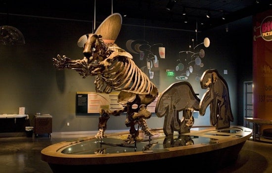Hemet Museum Offers Hands-On Fossil Activities at PaleoCon, $10 Gets You In
