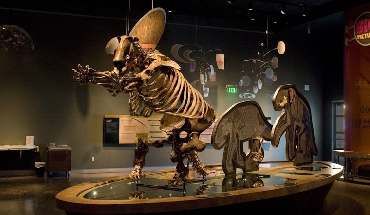 Hemet Museum Offers Hands-On Fossil Activities at PaleoCon, $10 Gets You In