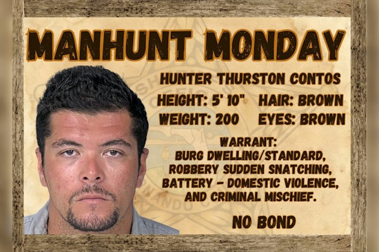Hernando Deputies Hunt No-Bond Suspect in Burglary, Domestic Battery Case