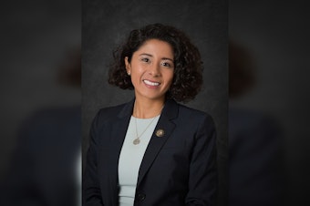 Hidalgo Revives Harris County Child Care Tax Push as Federal Funds Near Expiration
