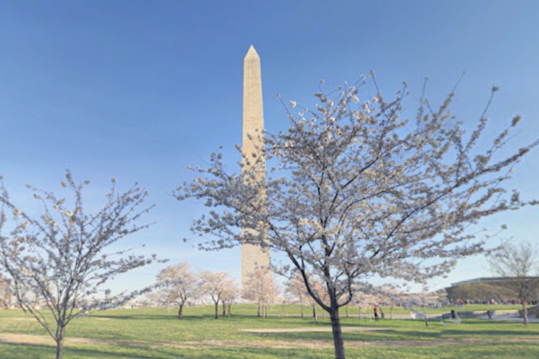 Hirshhorn Sculpture Garden Reopens October 31 In Washington, D.C.