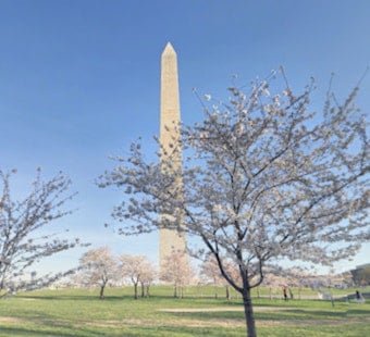 Hirshhorn Sculpture Garden Reopens October 31 In Washington, D.C.