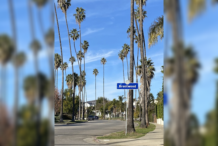 Hollywood Hills, Brentwood Roasted in 17-Hour Blackout as LA Heat Wave Peaks