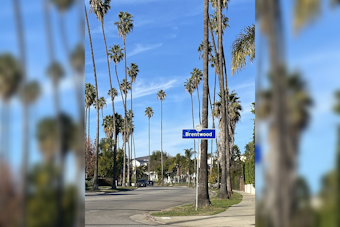 Hollywood Hills, Brentwood Roasted in 17-Hour Blackout as LA Heat Wave Peaks