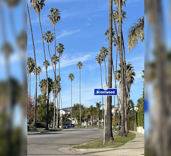 Hollywood Hills, Brentwood Roasted in 17-Hour Blackout as LA Heat Wave Peaks
