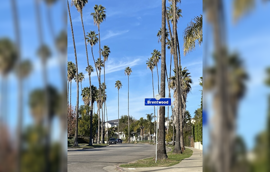 Hollywood Hills, Brentwood Roasted in 17-Hour Blackout as LA Heat Wave Peaks