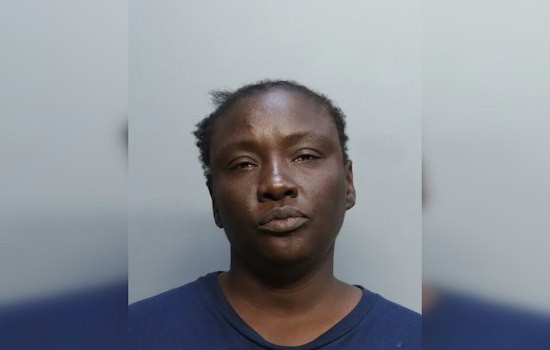 Homeless Woman Accused in North Miami Beach Bus-Stop Beatdown, Skull-Fracturing Attack: Cops