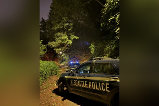 Homicide Unit Swarms Seattle's Mountains to Sound Trail After Death Near Holgate