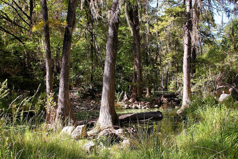 Honey Creek State Natural Area Finally Opens Trails to Self-Guided Hikers