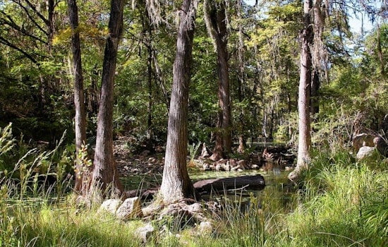 Honey Creek State Natural Area Finally Opens Trails to Self-Guided Hikers