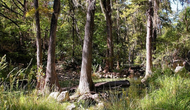 Honey Creek State Natural Area Finally Opens Trails to Self-Guided Hikers