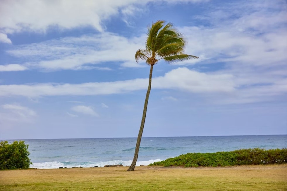 Honolulu Braces As Tropical Storm Moke Whips Up Blustery Trade Winds