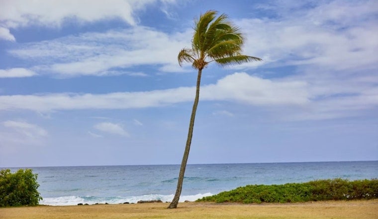 Honolulu Braces As Tropical Storm Moke Whips Up Blustery Trade Winds
