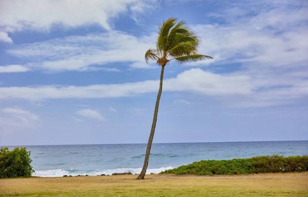 Honolulu Braces As Tropical Storm Moke Whips Up Blustery Trade Winds
