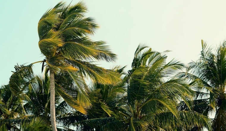 Honolulu Trade Winds Howl Back as Weekend Showers, Rough Surf Roll In