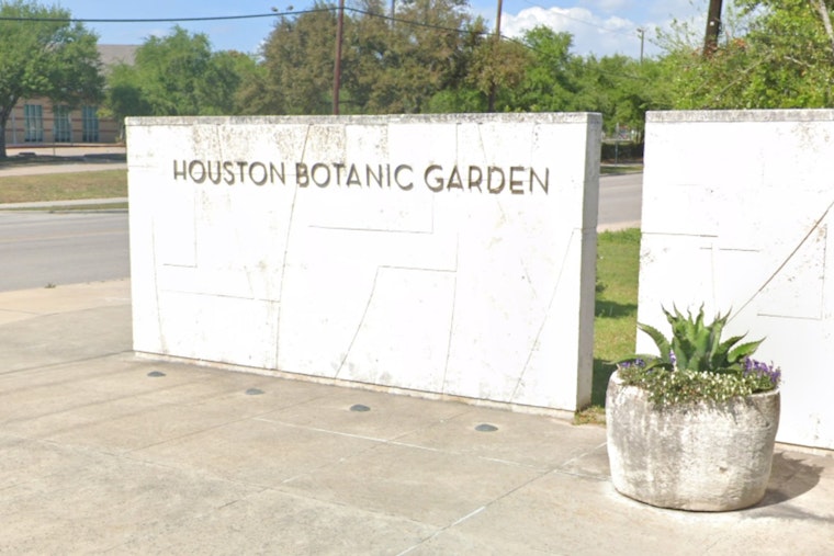 Houston Botanic Garden Goes Batty With After-Dark Moth Hunt Saturday