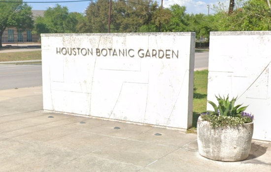 Houston Botanic Garden Goes Batty With After-Dark Moth Hunt Saturday