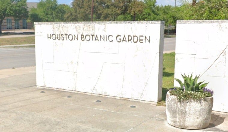 Houston Botanic Garden Goes Batty With After-Dark Moth Hunt Saturday