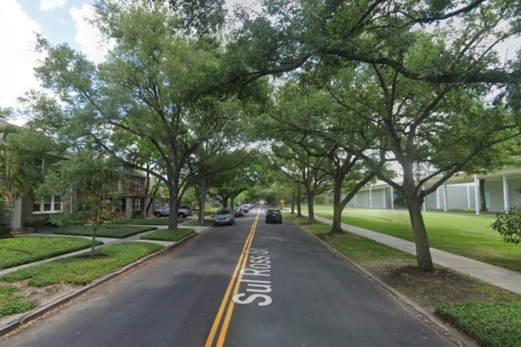 Houston's Menil Unveils Terry Winters Show Built From 70 Gifted Works
