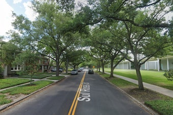 Houston's Menil Unveils Terry Winters Show Built From 70 Gifted Works