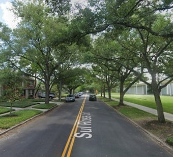 Houston's Menil Unveils Terry Winters Show Built From 70 Gifted Works