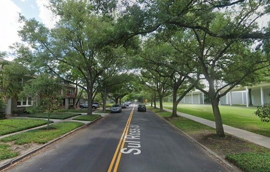 Houston's Menil Unveils Terry Winters Show Built From 70 Gifted Works