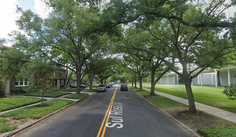 Houston's Menil Unveils Terry Winters Show Built From 70 Gifted Works