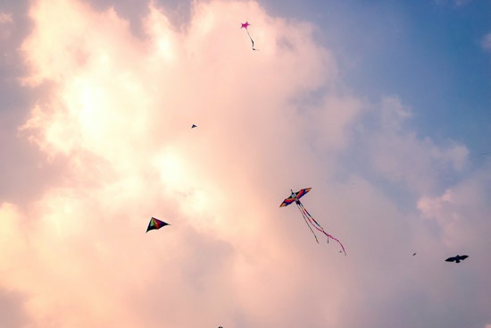 Hundreds Fly Kites at Long Beach Fest, Honor Founder Who Never Saw It