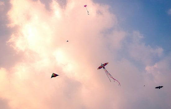 Hundreds Fly Kites at Long Beach Fest, Honor Founder Who Never Saw It