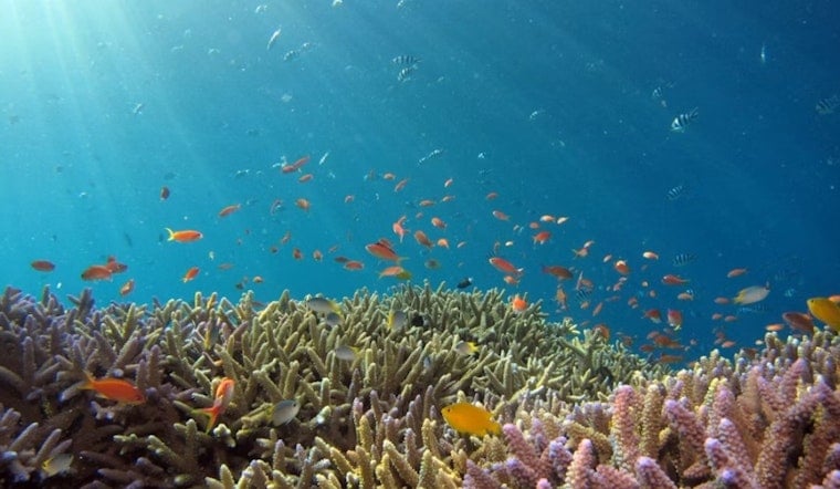 Hurricane Lala Triggers Hawaiʻi's First-Ever Coral Reef Insurance Payout