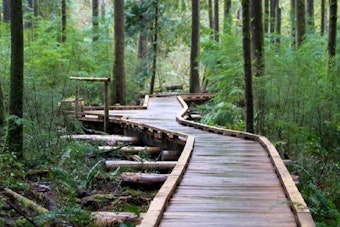 Issaquah Agent Sells Home for $6M After Cutting 140 Trees in Grand Ridge Park