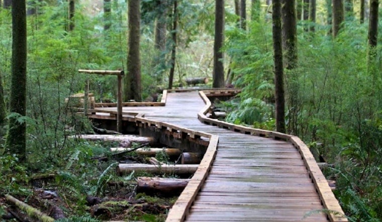 Issaquah Agent Sells Home for $6M After Cutting 140 Trees in Grand Ridge Park