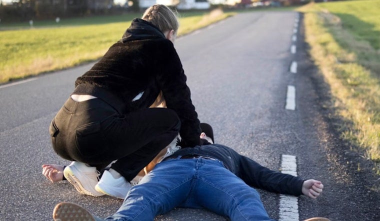 Jacksonville Beach Man Collapses Petting a Dog, Stranger's CPR Saves His Life